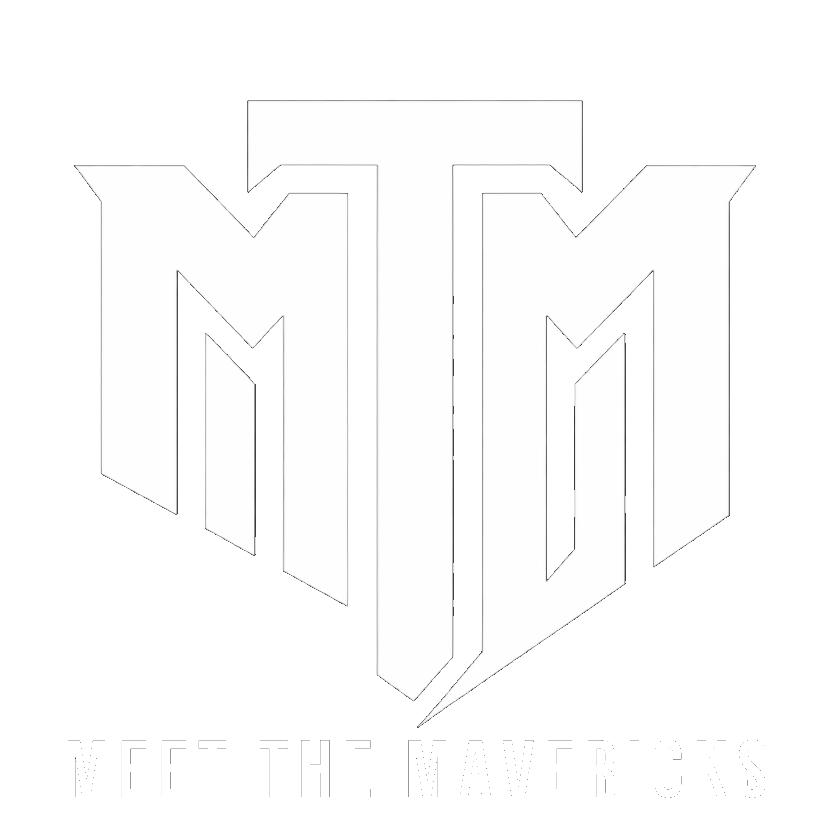 Meet The Mavericks